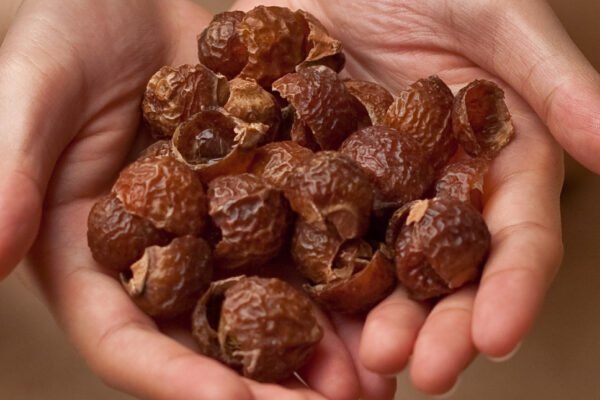 Reetha -  Soapnut - 100 gm - Image 2