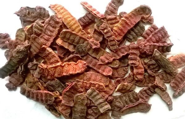 Shikakai - Acacia Concinna - 100 gm - Image 2